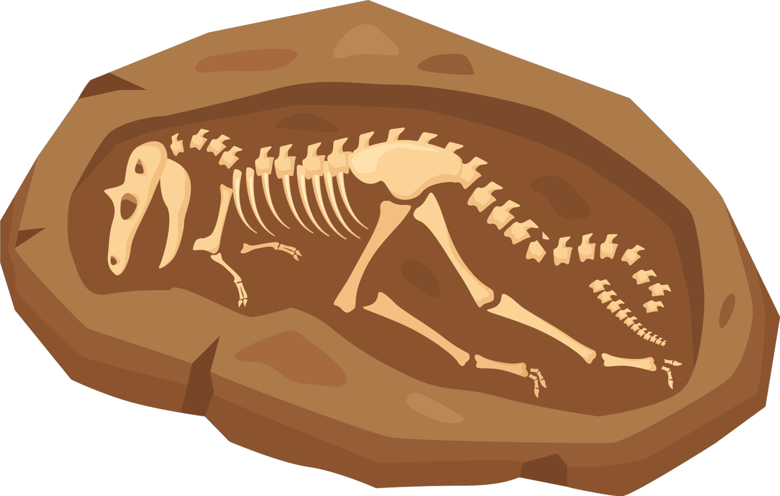 Fossil image fossil_02.png