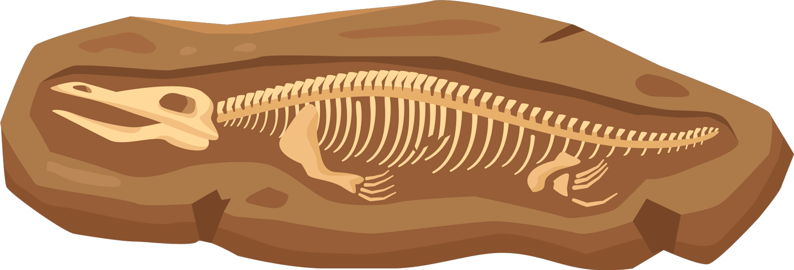 Fossil image fossil_04.png