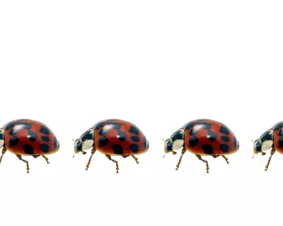 Variation