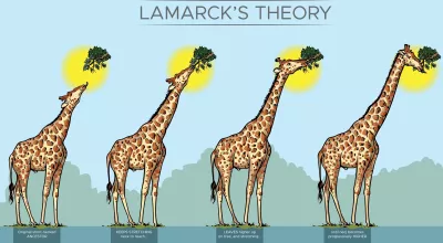 Théories alternatives