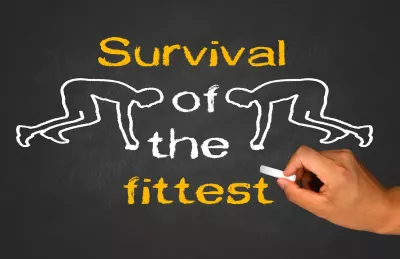 Survie et reproduction différentielles