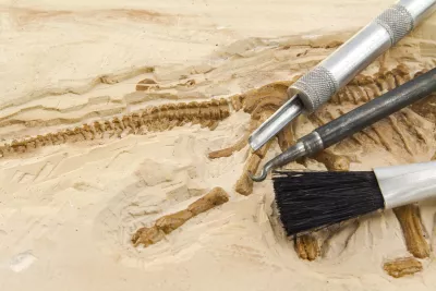 Brosses